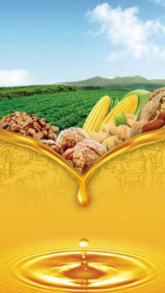 健康食用油 烹飪中的智慧選擇